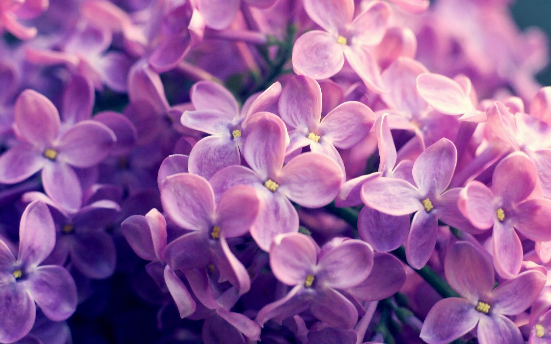 波兰乒乓队未来目标：如何在大赛中突破自我，实现突破性表现，波兰乒乓球选手