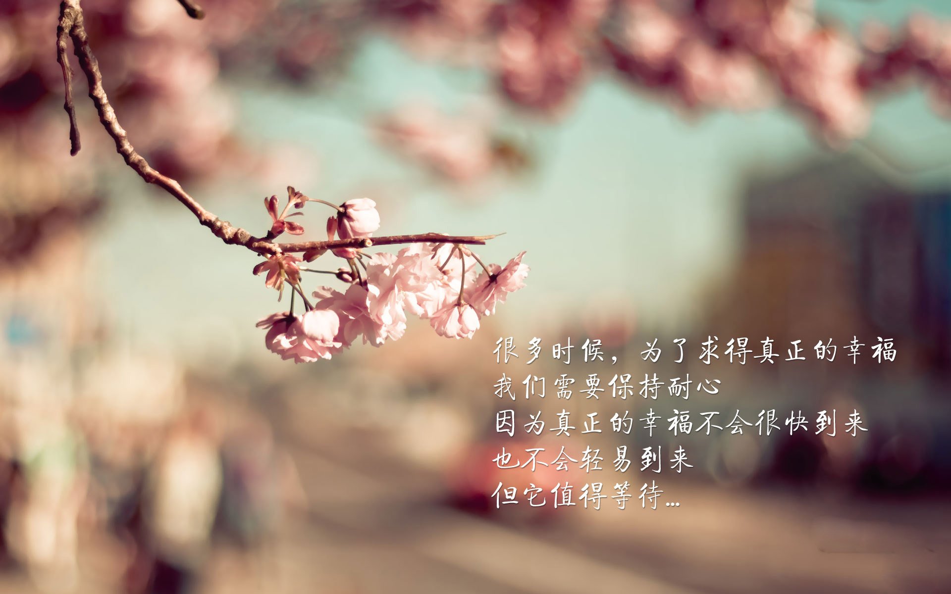 印度队未来战略:加强跨国交流与合作,提升国际竞争力,印度对外战略